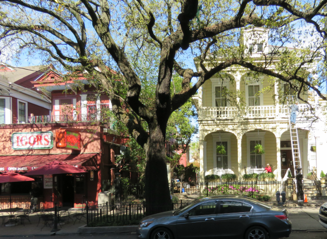 Photo of Touring New Orleans by Streetcar by Brook