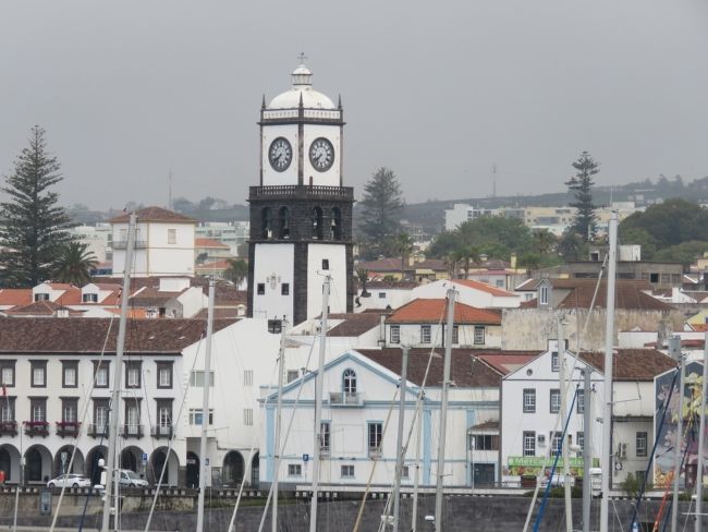 Photo of Our Whale Watching Experience in the Azores 3/17 by Brook