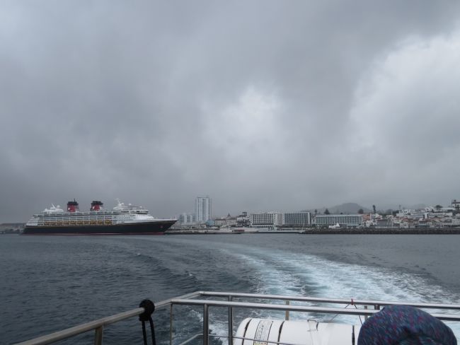Photo of Our Whale Watching Experience in the Azores 5/17 by Brook