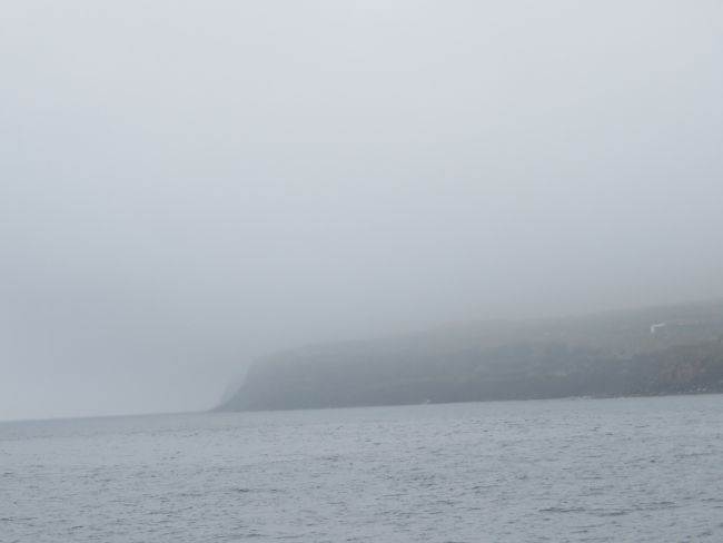 Photo of Our Whale Watching Experience in the Azores 16/17 by Brook