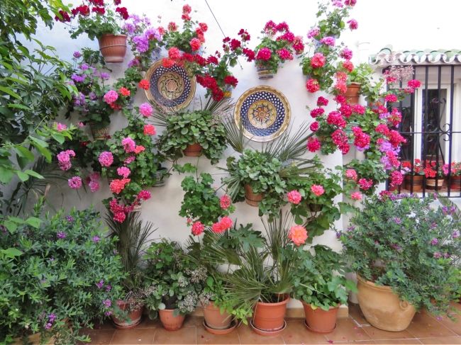 Photo of Mijas, Spain by Brook