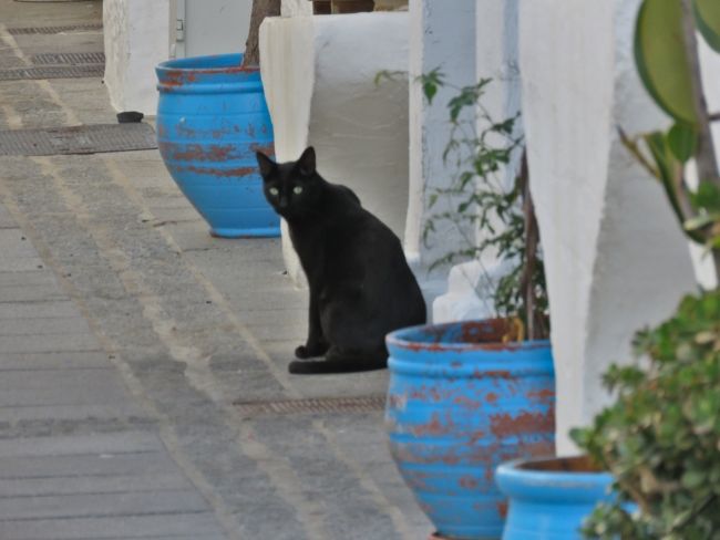 Photo of Mijas: Jewel of Andalusia by Brook
