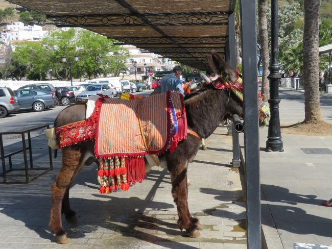 Photo of Mijas: Jewel of Andalusia by Brook