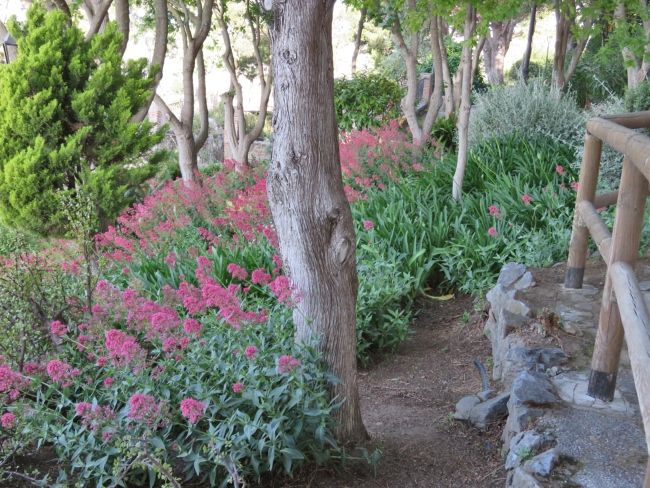 Photo of Mijas: Jewel of Andalusia by Brook