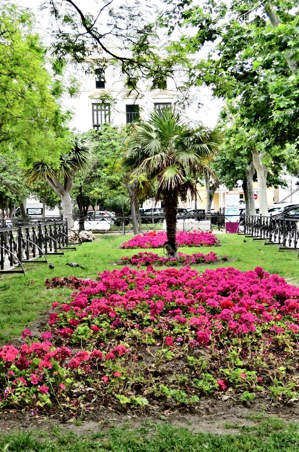 Photo of Cadiz, Spain: History, Architecture, Beaches, and Gardens by Brook