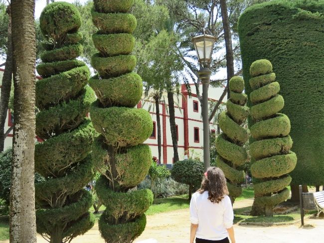 Photo of Cadiz, Spain: History, Architecture, Beaches, and Gardens by Brook