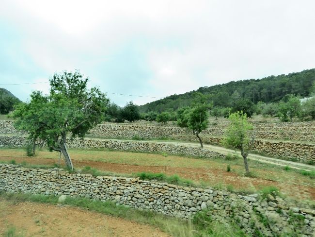 Photo of Ibiza: Not Our Favorite Cruise Port by Brook