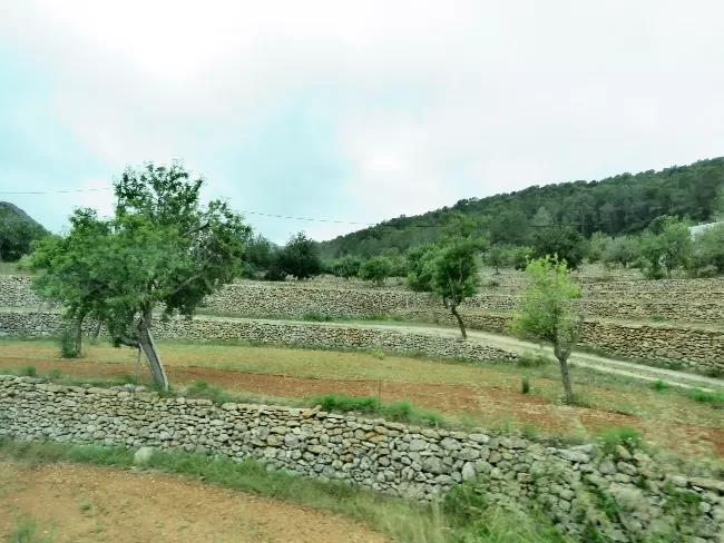 Photo of Ibiza: Not Our Favorite Cruise Port by Brook