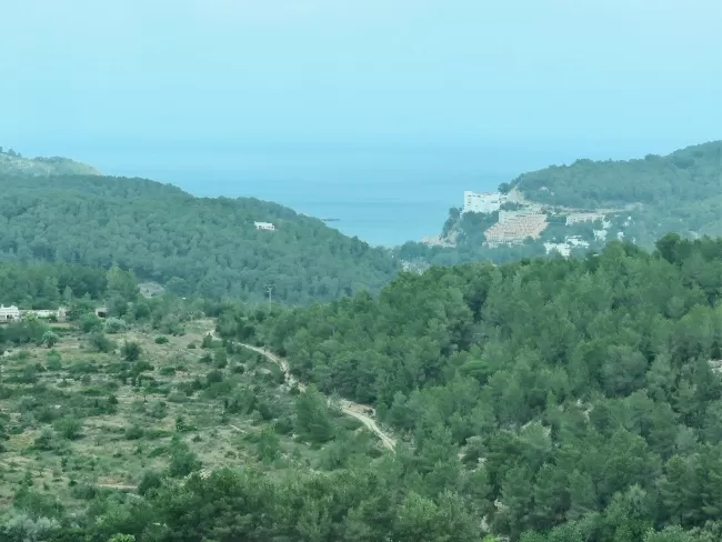Photo of Ibiza: Not Our Favorite Cruise Port by Brook