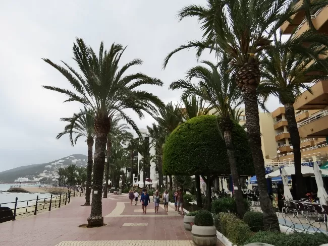 Photo of Ibiza: Not Our Favorite Cruise Port by Brook