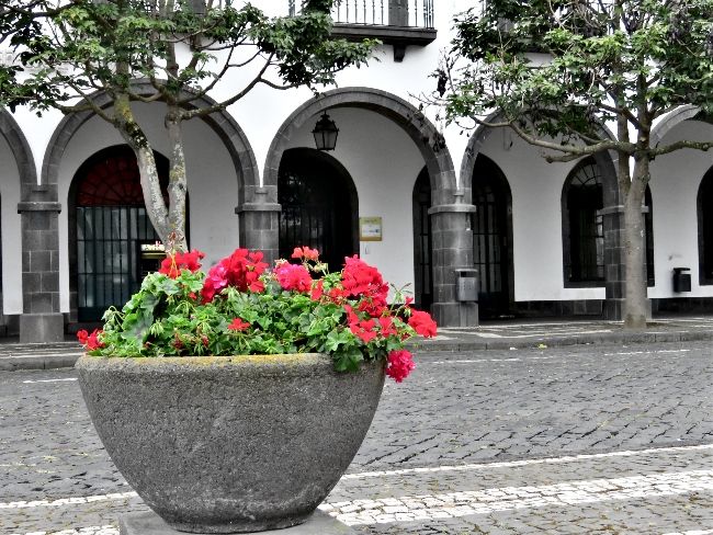 Photo of A Rainy Walk Through Ponta Delgada, Azores by Brook