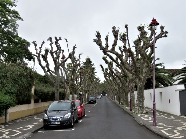 Photo of A Rainy Walk Through Ponta Delgada, Azores by Brook