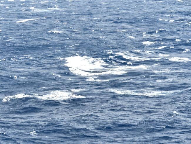 Photo of Disney Bermuda Cruise Review by Brook