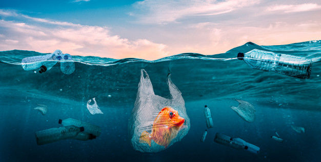 Photo of Looking Back at the Worst of Climate Change in 2019, Here Are Our Travel Resolutions for 2020 by Siddharth Sujan