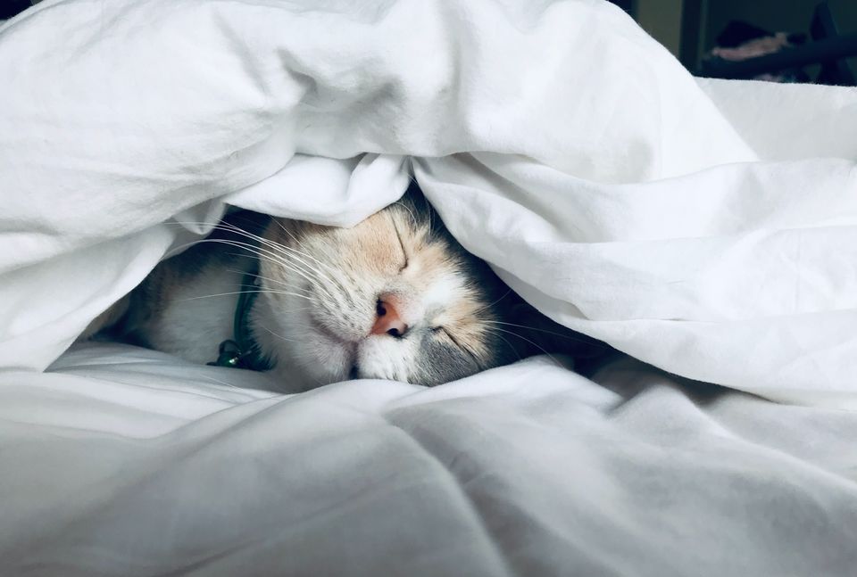 Photo of How To Beat Seasonal Affective Disorder (SAD) This Winter 1/1 by Kanj Saurav