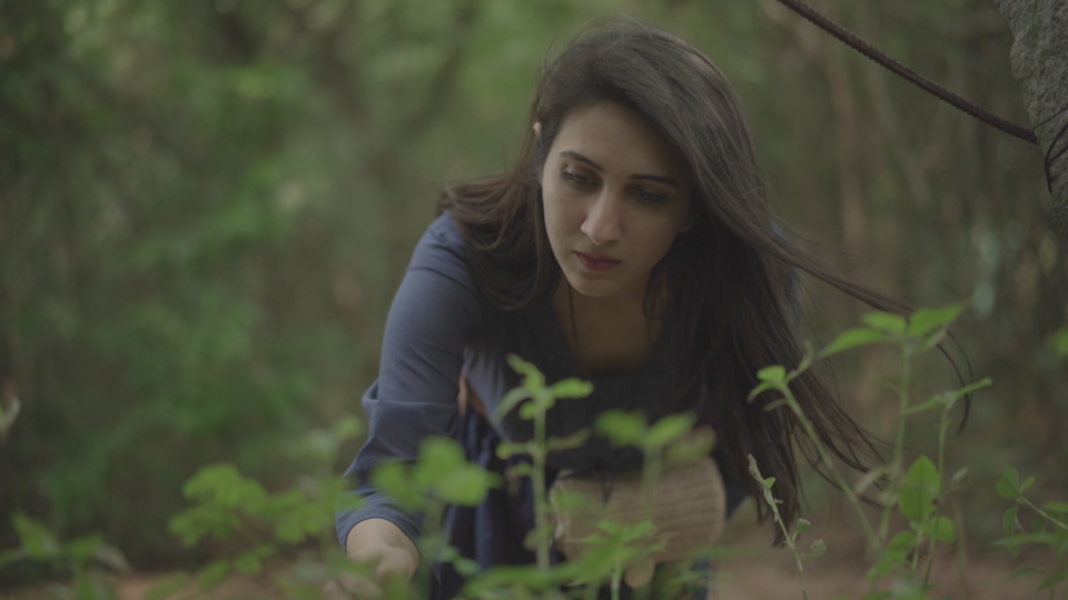 Photo of Sadhana Forest, Sadhana Forest Road, Auroville, Tamil Nadu, India by Kadambari Bhatte (curlytravelmess)