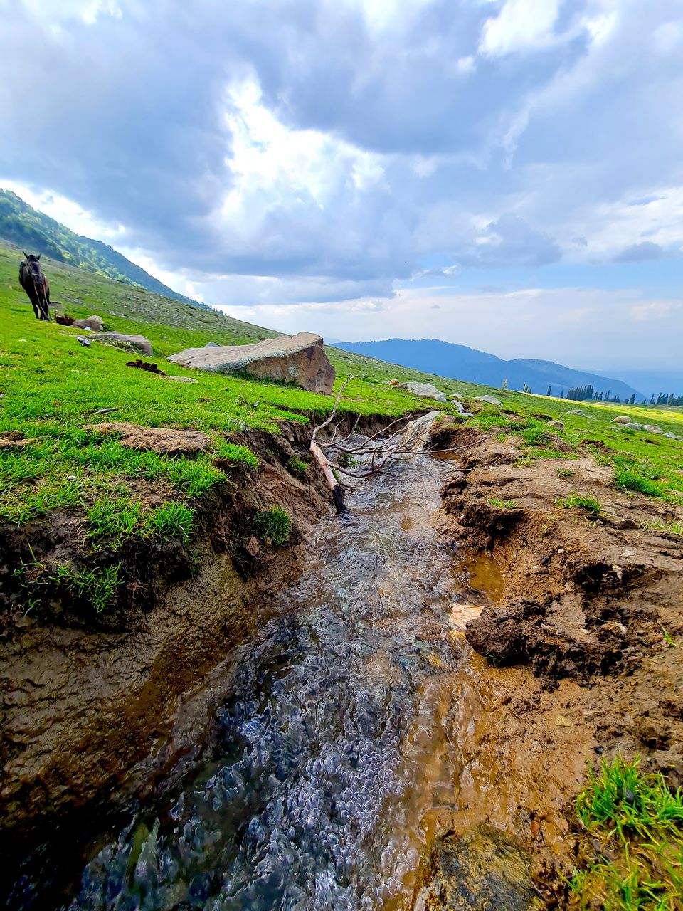 Photo of Kashmir in 2021! All You Need To Know: Covid Guidelines, Where to Stay & Other Secret Tips 4/10 by Himani Sahni