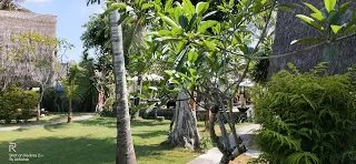 Photo of Sukanusa Luxury Huts, Jalan Jungutbatu, Jungutbatu, Klungkung Regency, Bali, Indonesia by nomadic_ab