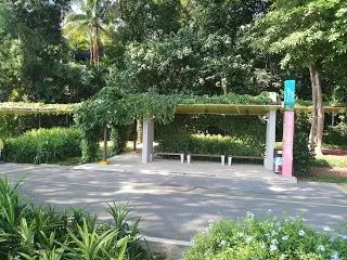 Photo of Palawan Beach, Singapore by nomadic_ab