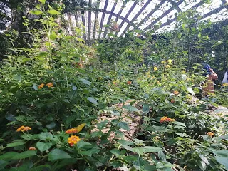 Photo of Marina Gardens Drive, Gardens by the Bay, Singapore by nomadic_ab