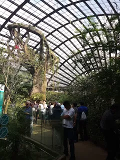 Photo of Marina Gardens Drive, Gardens by the Bay, Singapore by nomadic_ab