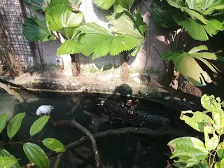 Photo of Marina Gardens Drive, Gardens by the Bay, Singapore by nomadic_ab