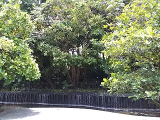 Photo of Botanic Gardens MRT Station, Singapore by nomadic_ab