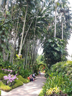 Photo of Singapore & Penang Cruise by Royal Caribbean I Cruising my way by nomadic_ab