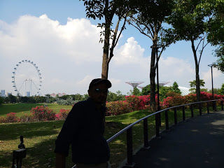 Photo of Singapore & Penang Cruise by Royal Caribbean I Cruising my way by nomadic_ab
