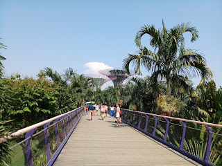 Photo of Singapore & Penang Cruise by Royal Caribbean I Cruising my way by nomadic_ab