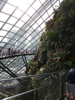 Photo of Singapore & Penang Cruise by Royal Caribbean I Cruising my way by nomadic_ab