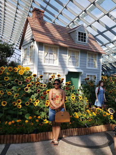 Photo of Singapore & Penang Cruise by Royal Caribbean I Cruising my way by nomadic_ab