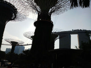 Photo of Singapore & Penang Cruise by Royal Caribbean I Cruising my way by nomadic_ab