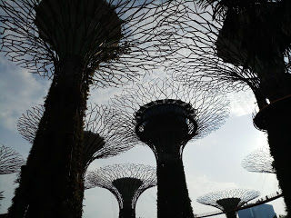 Photo of Singapore & Penang Cruise by Royal Caribbean I Cruising my way by nomadic_ab