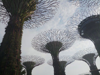 Photo of Singapore & Penang Cruise by Royal Caribbean I Cruising my way by nomadic_ab