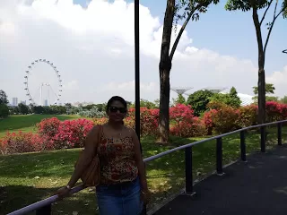 Photo of Marina Coastal Drive, Marina Bay Sands Hotel Singapore, Singapore by nomadic_ab