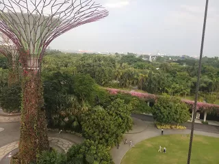 Photo of Marina Coastal Drive, Marina Bay Sands Hotel Singapore, Singapore by nomadic_ab