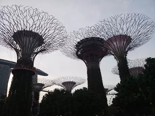 Photo of Expo Drive, Texas Chicken (Singapore Expo), Singapore Expo, Singapore by nomadic_ab