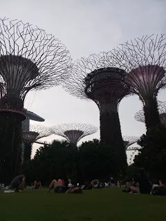 Photo of Expo Drive, Texas Chicken (Singapore Expo), Singapore Expo, Singapore by nomadic_ab