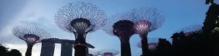 Photo of Expo Drive, Texas Chicken (Singapore Expo), Singapore Expo, Singapore by nomadic_ab