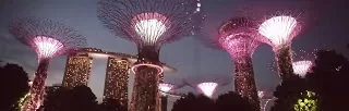 Photo of Expo Drive, Texas Chicken (Singapore Expo), Singapore Expo, Singapore by nomadic_ab