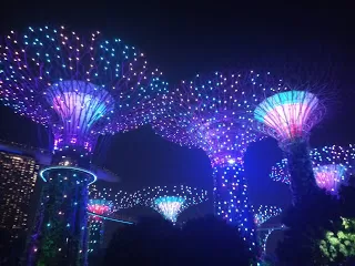 Photo of Marina Gardens Drive, Supertree Grove, Singapore by nomadic_ab