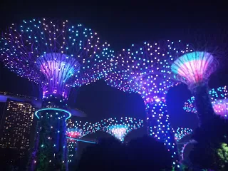Photo of Marina Gardens Drive, Supertree Grove, Singapore by nomadic_ab