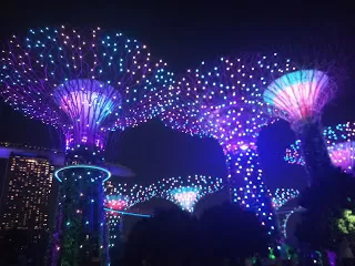 Photo of Marina Gardens Drive, Supertree Grove, Singapore by nomadic_ab