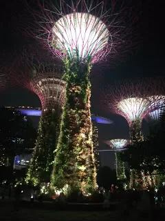 Photo of Marina Gardens Drive, Supertree Grove, Singapore by nomadic_ab