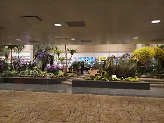 Photo of Airport Boulevard, Changi Airport Singapore (SIN), Singapore by nomadic_ab
