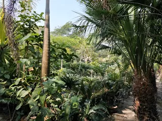 Photo of Kulpi, West Bengal, India by nomadic_ab