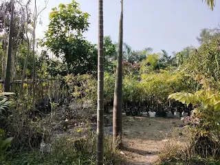 Photo of Kulpi, West Bengal, India by nomadic_ab