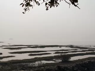 Photo of Kulpi, West Bengal, India by nomadic_ab