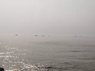 Photo of Kulpi, West Bengal, India by nomadic_ab